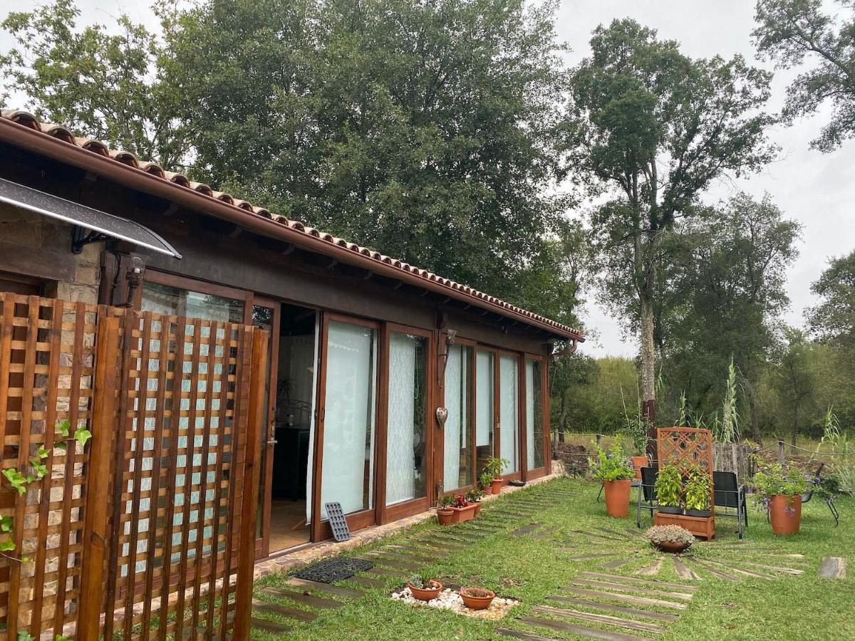 The Old Watermill Retreat - O Retiro Da Azenha Velha Apartment วิลา โนวา เจ ปัวอาเรส ภายนอก รูปภาพ